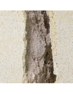 THCA hash 20% + 16% CBG - Pollen Supreme 2