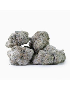 THCA topskud 20% + 12% CBD - Magic Supreme 2