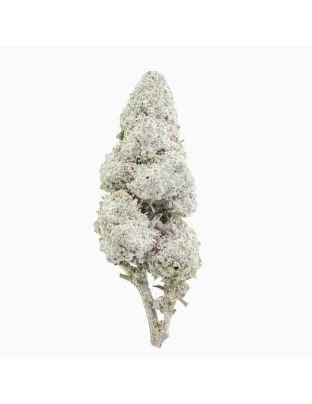 Sapphire 23 THCA topskud 23% + CBD 17% - 2 gram