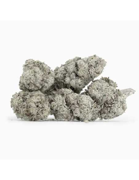 Amnesia Glasshouse 23 THCA topskud 24% + CBD 7% - 2 gram