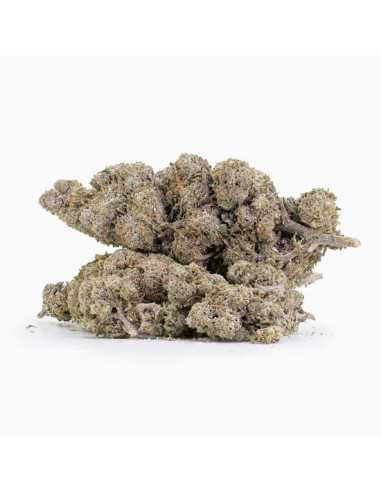 Bangkok Sativa 18 THCA topskud 21% + CBD 10% -...