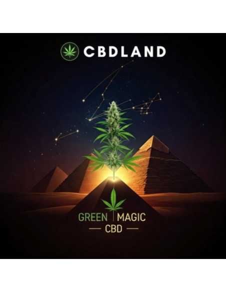 CBD hasis 11% + CBN 24% - Green Magic