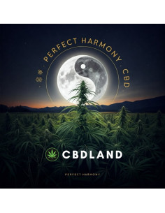 CBD Hash 32% + 5% CBN - Perfect Harmony 2