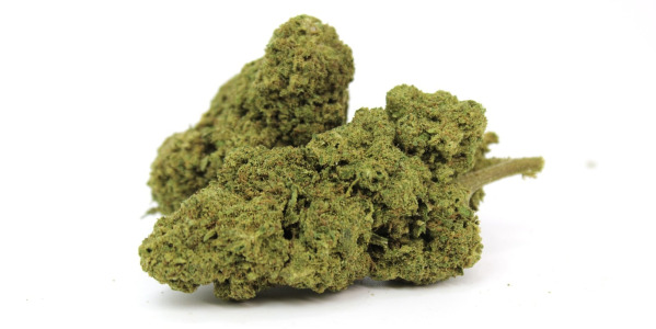 Køb kvalitets CBD topskud, blomster og buds online