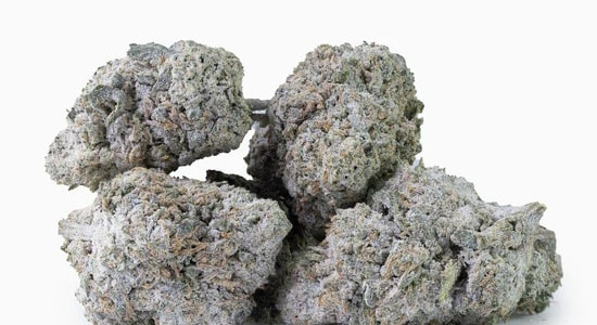 THCA Hash og THCA Topskud: En Dybdegående Guide Til Lovlig Hash